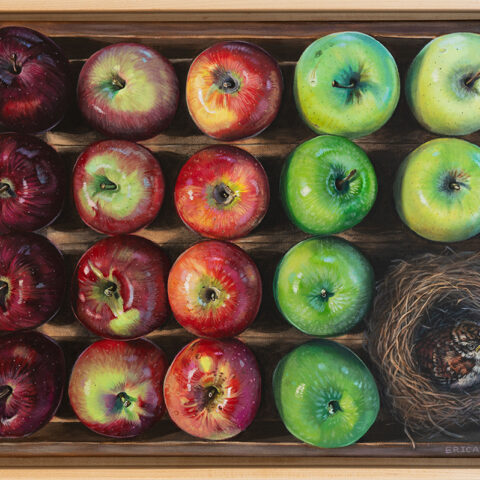 An acrylic, top down still life painting of a half peck of apples in various shades and baby bird in nest in lower righthand corner.